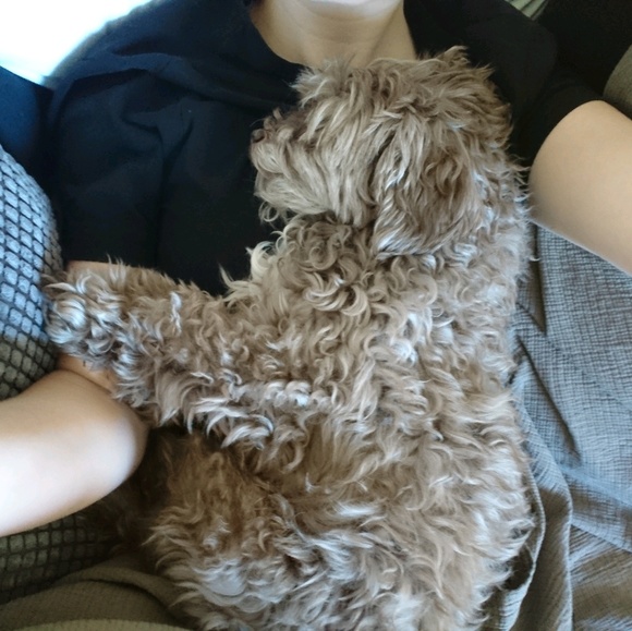 J D - Picture 1 of 1